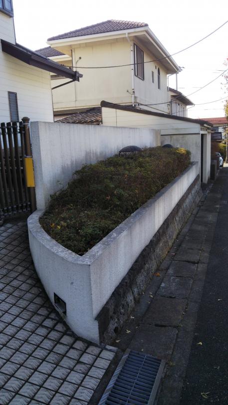 剪定施工例